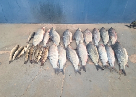 MP investiga pesca ilegal e danos ambientais em alagado de usina em Água Clara
