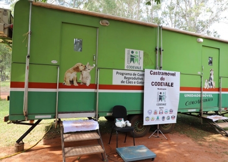 Vereadoras propõem Castramóvel para Nova Andradina e Nova Casa Verde