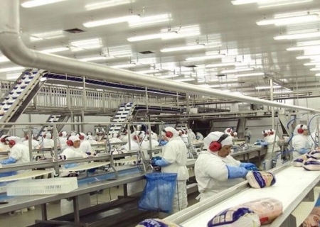 Exportações de frango batem recorde no primeiro semestre