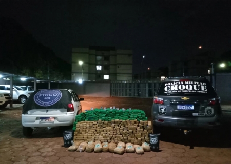 Polícia apreende quase 391 kg de drogas em ação contra o crime organizado