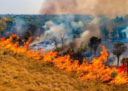Incêndios no Pantanal mais que quadruplicam em 2026 e acendem alerta em MS