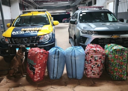 PMR apreende pasta base de cocaína e 116 kg de folhas de coca na MS-040