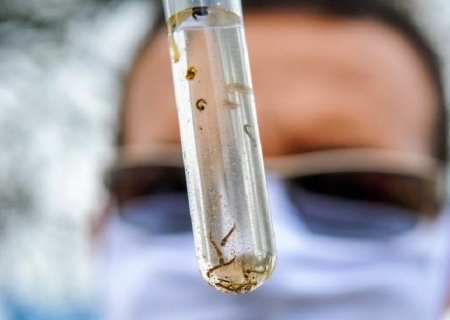 MS passa de 10 mil casos confirmados de chikungunya e mantém 30 mortes em 2026