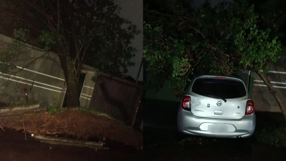 Temporal com ventos de 85 km/h deixa rastro de destruição em Campo Grande