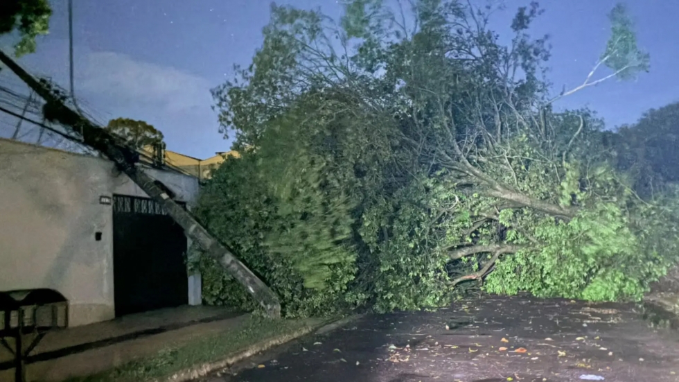 Temporal com ventos de 85 km/h deixa rastro de destruição em Campo Grande