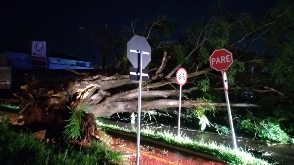 Temporal com ventos de 85 km/h deixa rastro de destruição em Campo Grande