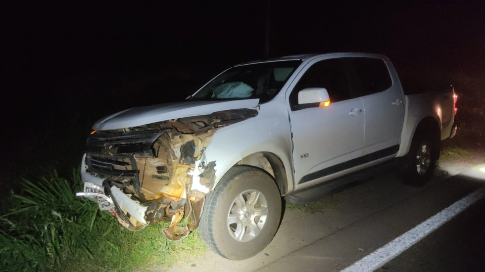 Caminhonete bate em anta na MS-276 entre Batayporã e Anaurilândia