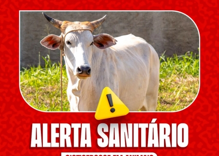 Alerta sanitário reforça cuidados contra cisticercose na produção animal