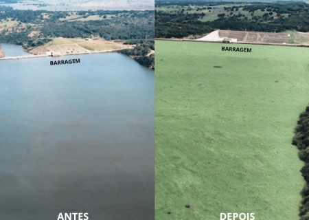 Justiça manda empresa conter e retirar macrófitas do Rio Pardo