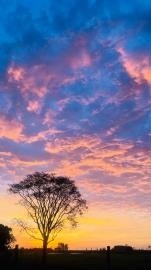 Projeto “Meu Olhar sobre Batayporã” valoriza belezas e identidade do município