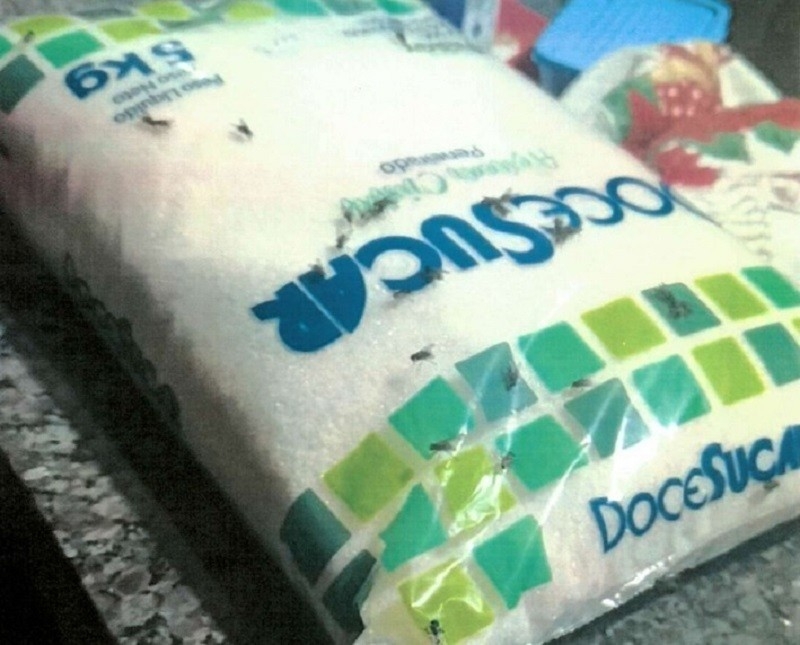 Ministério Público investiga infestação de moscas e larvas atribuída a granja em Ivinhema