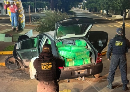 DOF apreende mais de 28 toneladas de drogas e causa prejuízo de R$ 215 milhões ao crime em três meses
