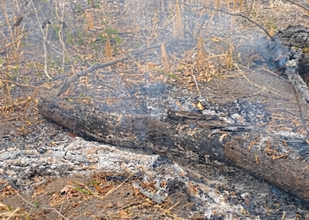 MPMS apura queimada que atingiu mais de 2,1 mil hectares em fazenda de Aquidauana