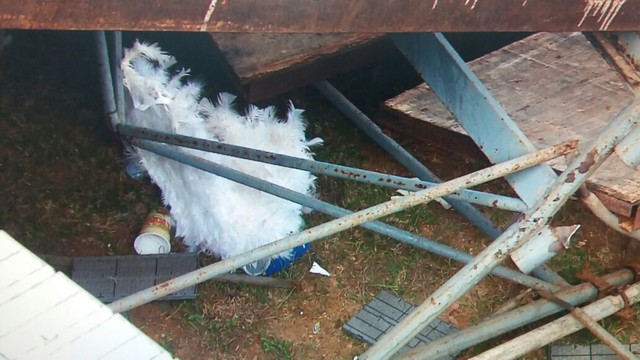 Resto da fantasia de uma das vítimas - Foto: José Gilton/TV Sergipe