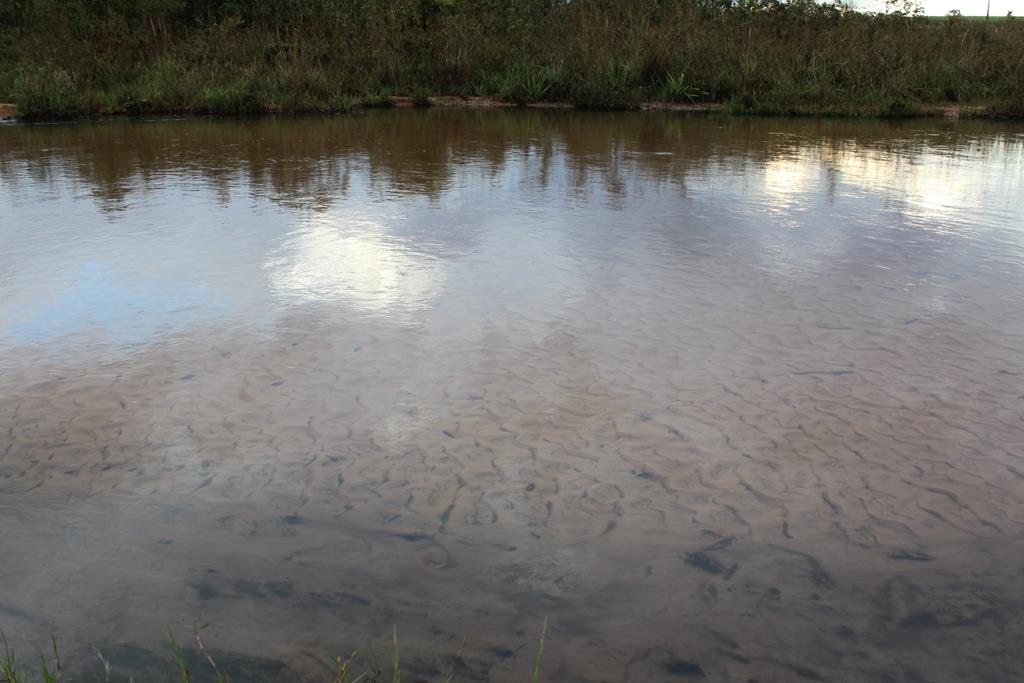 &Aacute;gua est&aacute; clara na ponte da MS-473 sentido ao bairro Laranjal - Foto: Luis Gustavo/Jornal da Nova