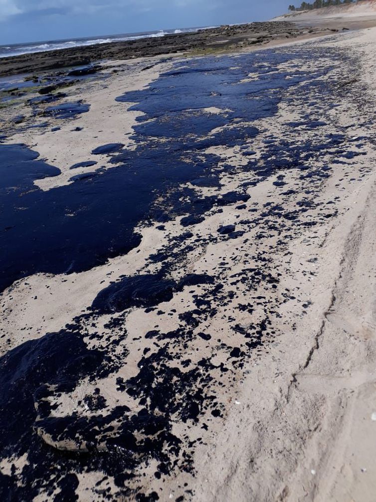 Governo combate manchas de &oacute;leo no litoral desde o dia 2 de setembro, diz ministro da Defesa &ndash; Foto: Divulga&ccedil;&atilde;o/Petrobras