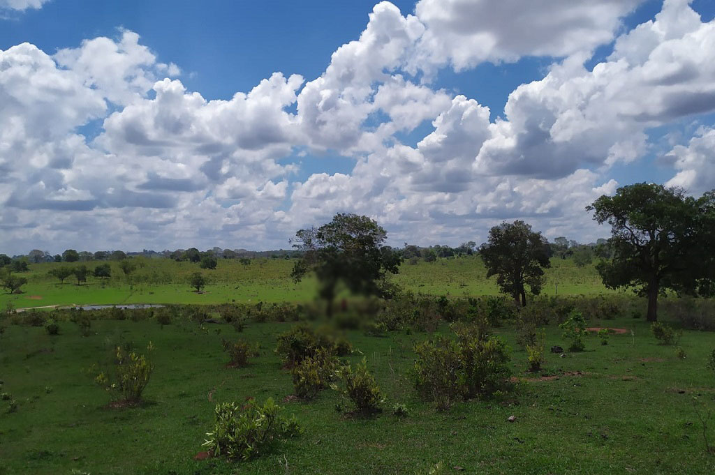 Vítima foi localizada em uma fazenda nas proximidades do Assentamento Aldeia - Foto: Jornal da Nova