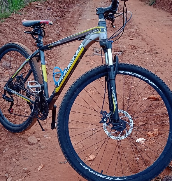 Bicicleta que marta pedala - Foto: Redes sociais