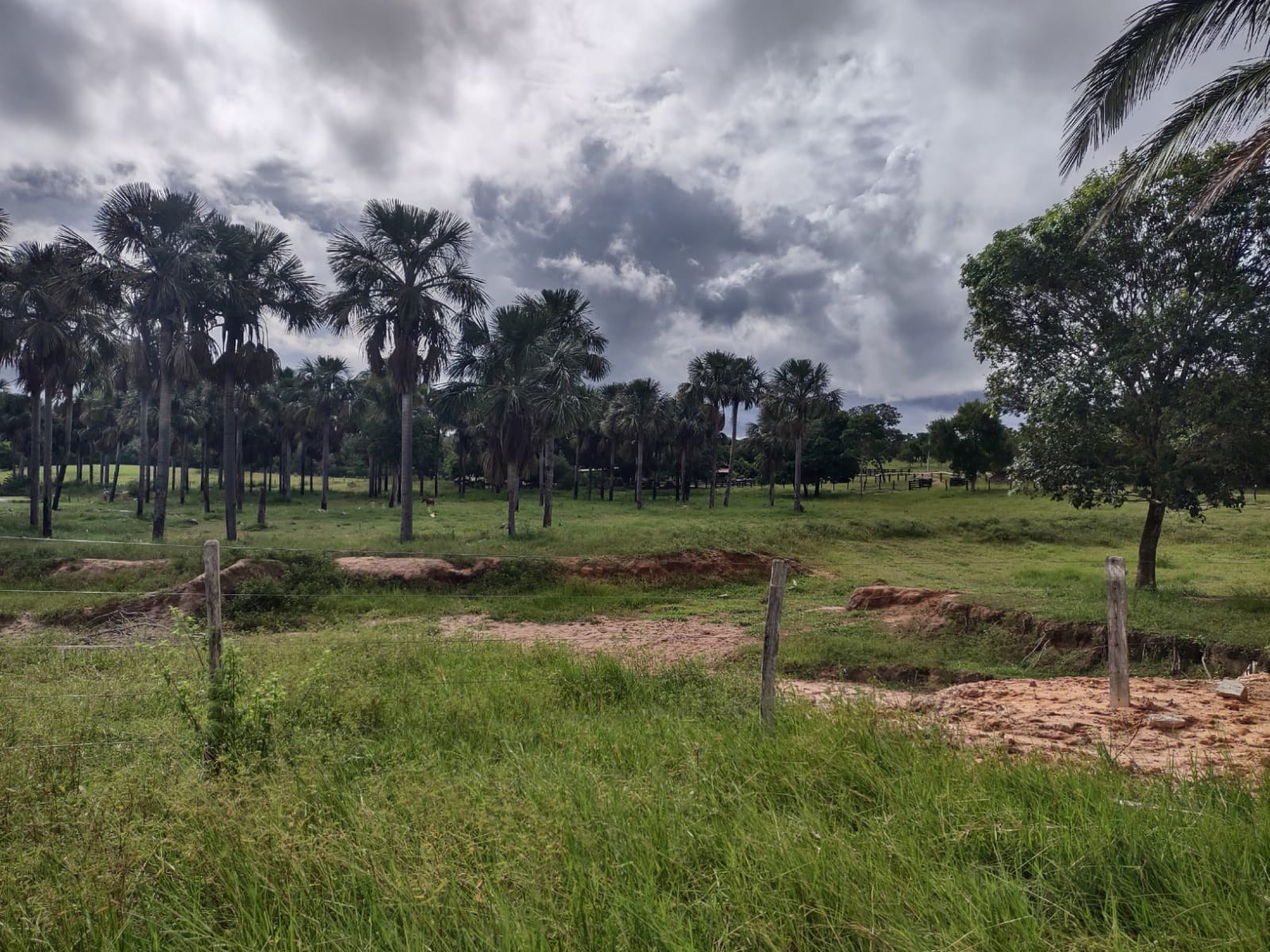 Terras da Fazenda Santa Terezinha, Coxim - Foto: Divulgação