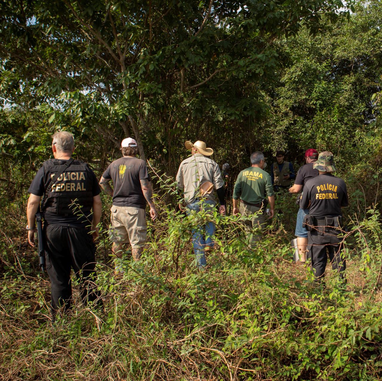 Com a conclusão das investigações, três pessoas foram identificadas e indiciadas pela morte das onças e dos outros animais - Foto: Polícia Federal/Divulgação