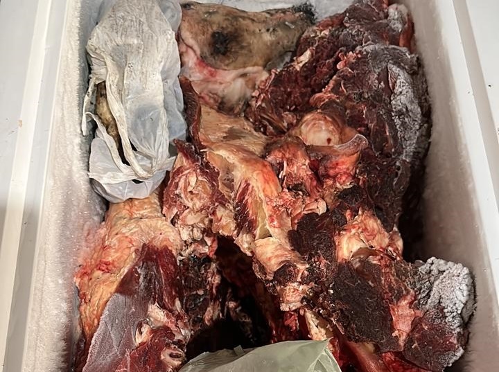 Na casa do investigado policiais localizaram freezer lotado de carne - Foto: Pol&iacute;cia Civil/Divulga&ccedil;&atilde;o