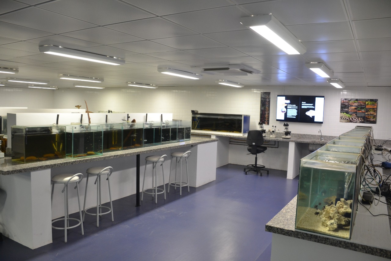 70 tanques destinados ao trabalho t&eacute;cnico cient&iacute;fico voltado a conserva&ccedil;&atilde;o de esp&eacute;cies - Fotos: Eduardo Coutinho e Heriberto Gim&ecirc;nes Junior