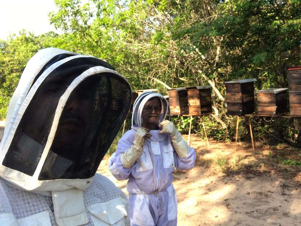 Apicultores de MS beneficiados pela a&ccedil;&atilde;o da Sefaz, em trabalho - Foto: Sefaz/Divulga&ccedil;&atilde;o