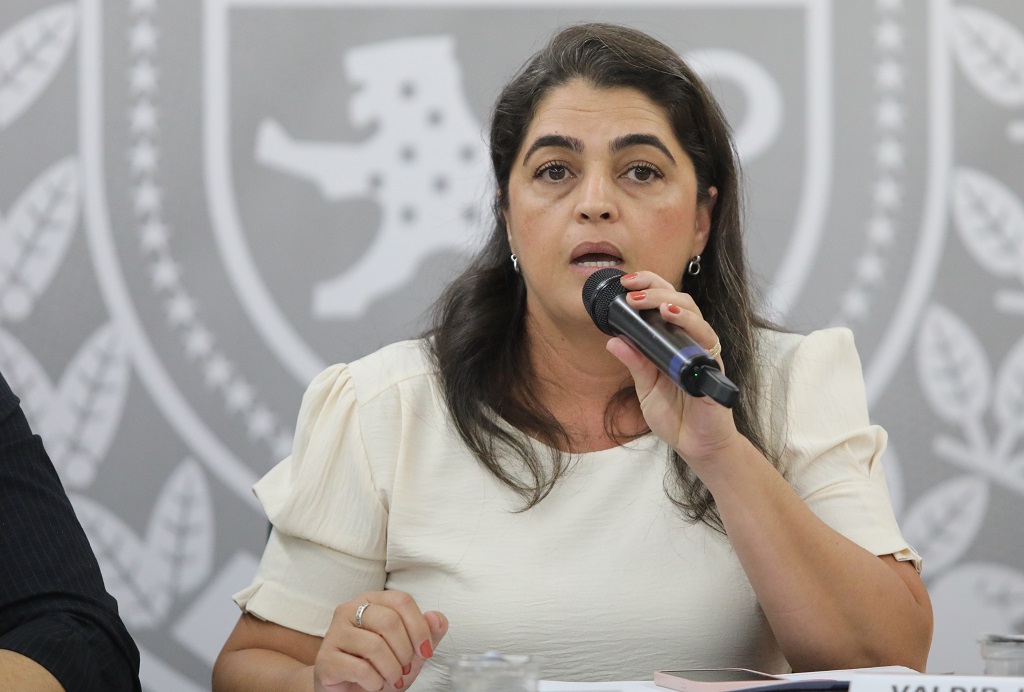 Rozeman de Paula, delegada-geral adjunta da Pol&iacute;cia Civil - Foto: Saul Schramm
