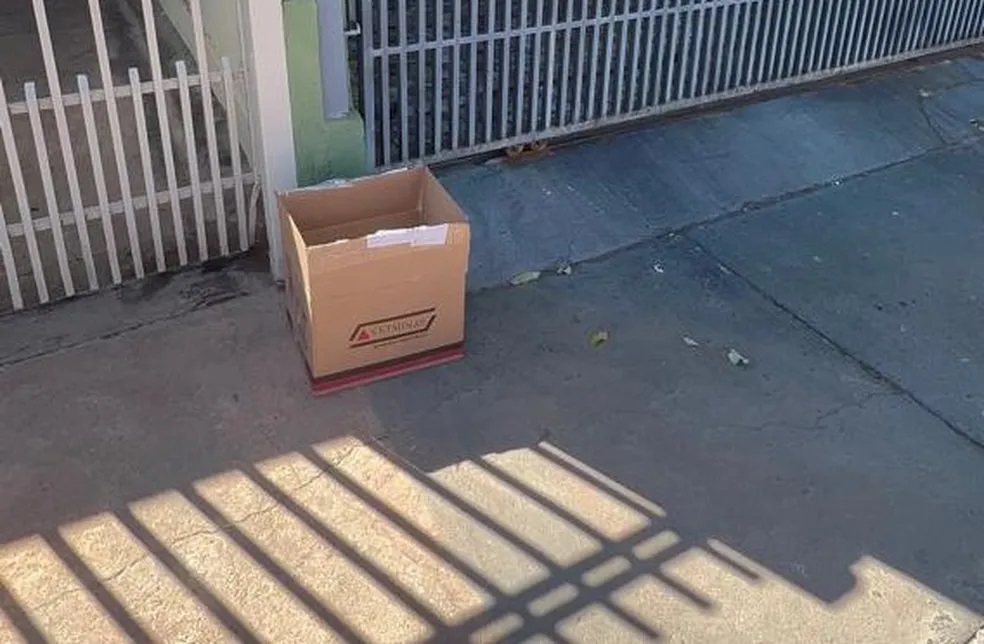 Idoso abandonou sete cachorros em uma caixa de papel&atilde;o, em Rosana (SP) - Foto: Pol&iacute;cia Militar Ambiental/SP